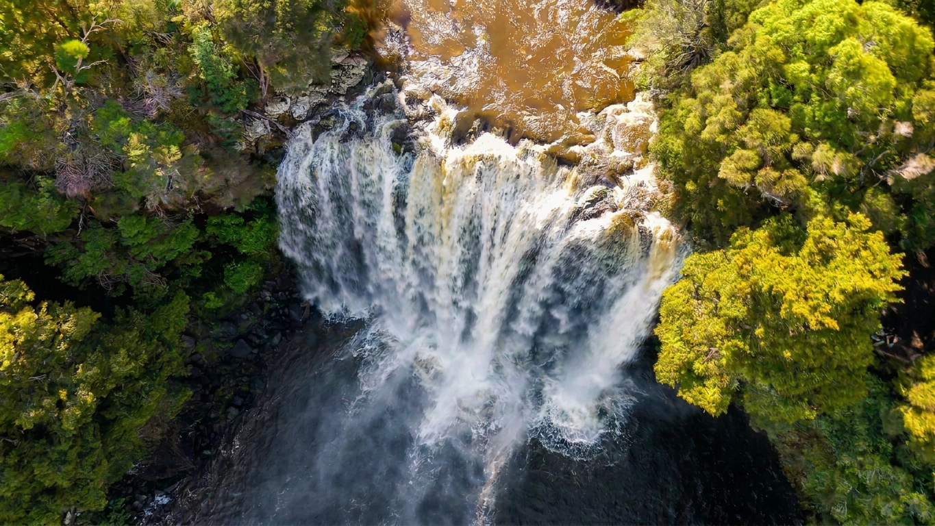 dji_fly_20250405_151710_0826_1744609672863_video(6)